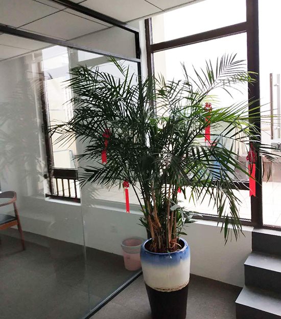輝燁亞肯傳媒無錫辦公室裝修實(shí)拍圖